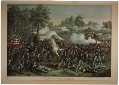 Battle of Wilson